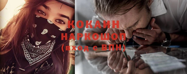 стаф Арсеньев