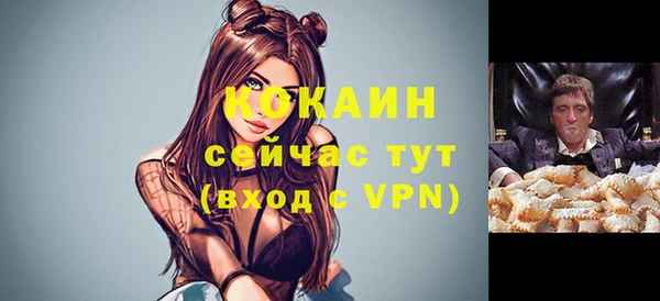 гидра Армянск