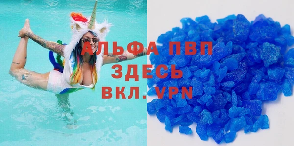 стаф Арсеньев