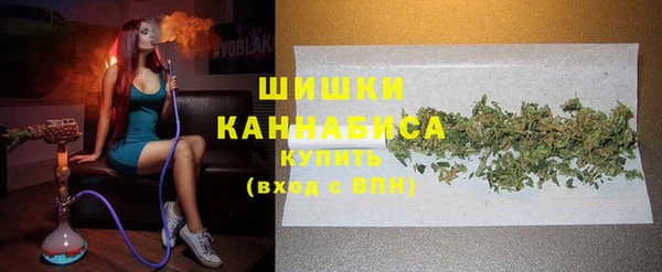 стаф Арсеньев