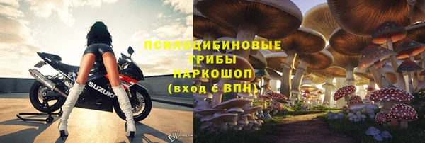 стаф Арсеньев
