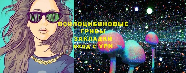 стаф Арсеньев